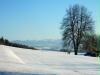 View of the Bavarian Alps